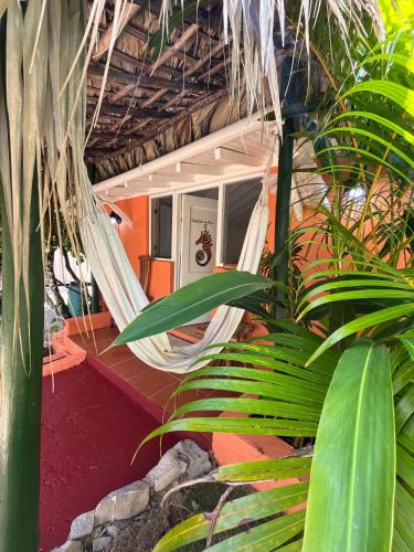 Las Galeras Hotel | Arena Oceanview Hotel & La Terraza Restaurant