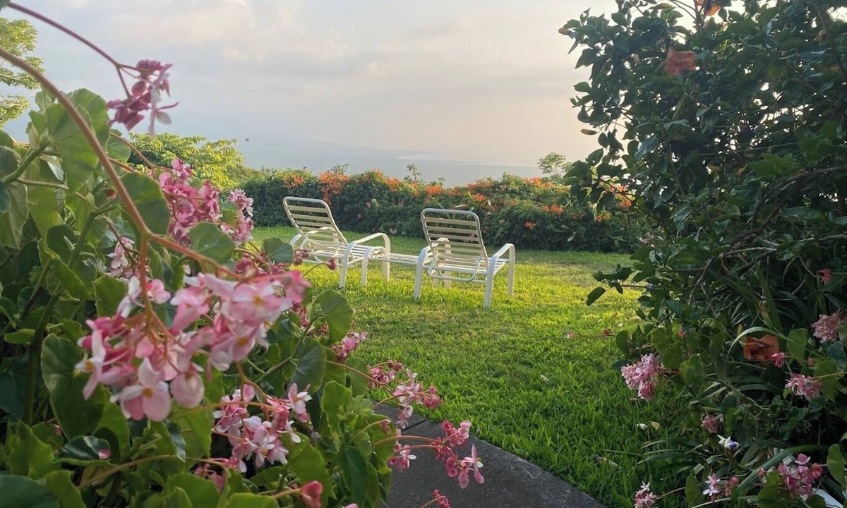 Honaunau-Napoopoo Bed & Breakfast | Belle Vue Kona B&B Rose Garden Suite - Breathtaking Views and Island Comfort