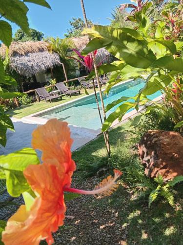Las Galeras Hotel | BUNGALOWS COLIBRI