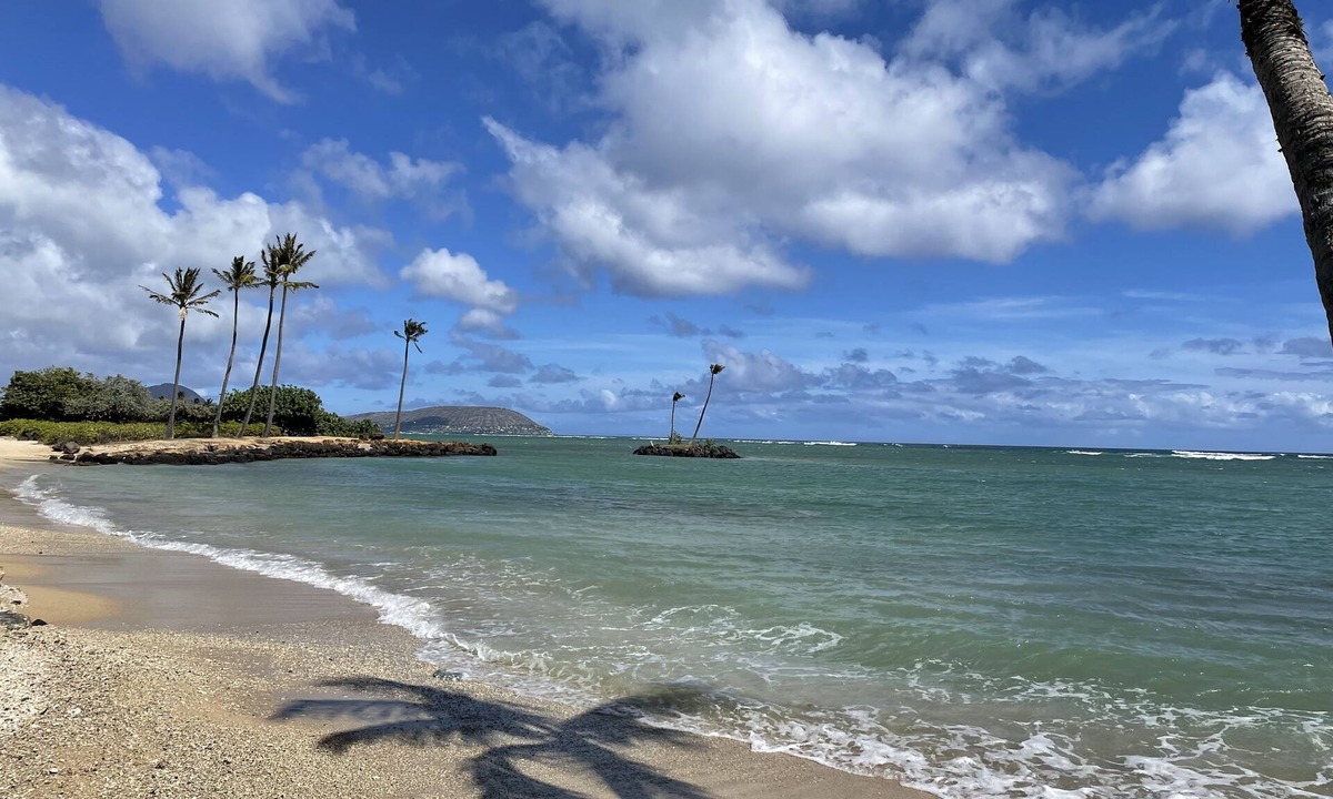 Kahala Condo | Condo on the Beach (Kahala) 1 bedroom "March & April" *Special Rates*