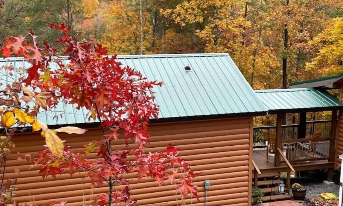 Sevierville Cabin | Cozy Cabin-A hidden gem-wildlife-views Pigeon Forge-Wears Valley-Gatlinburg