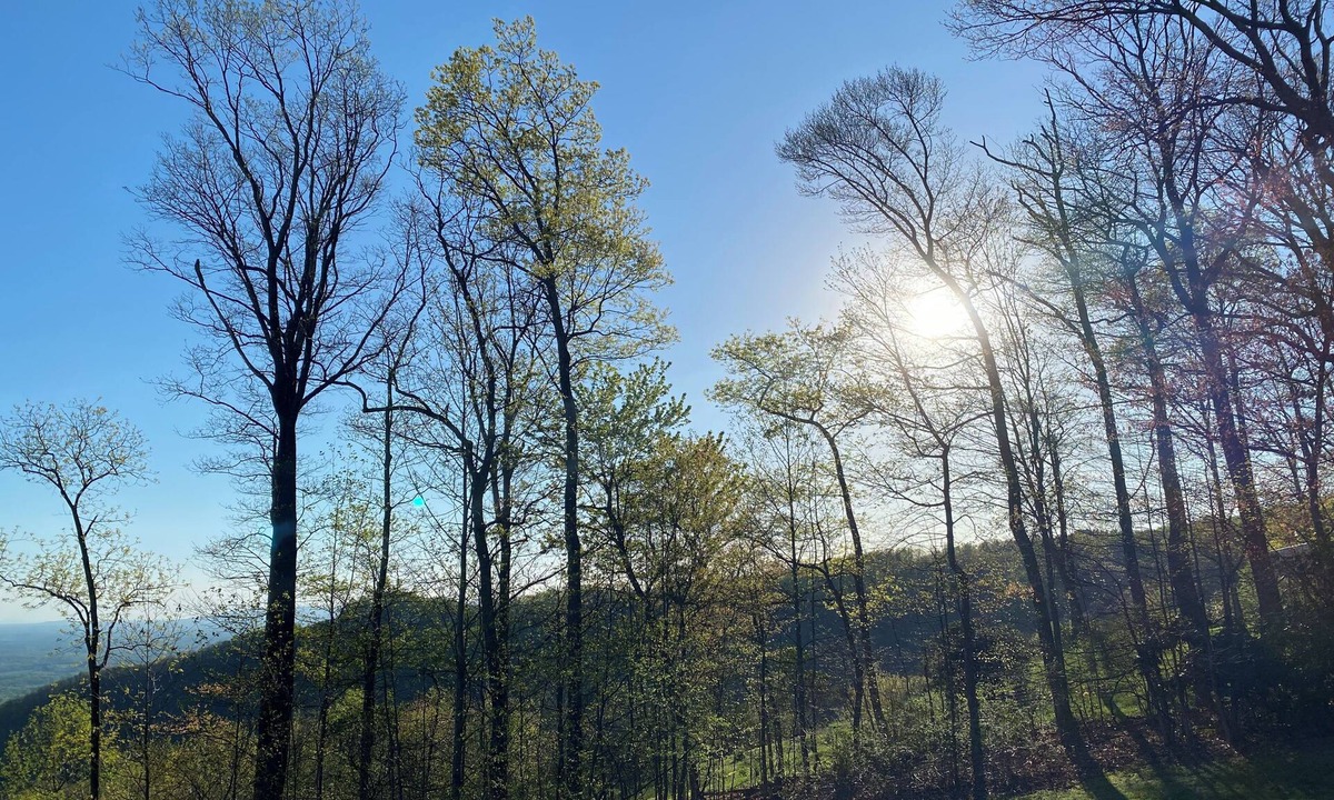 Dan River Cabin | Gratitude View - It's cooler in the mountains!
