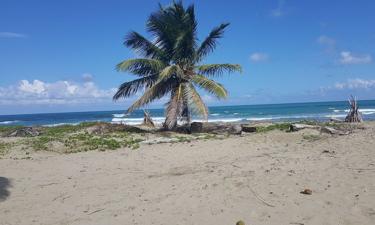 Cabarete Apartment | Ground-floor studio with full kitchen, right on the beach, breakfast included!