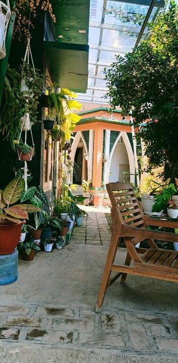 Kalipuro Hotel | Latansa Homestay