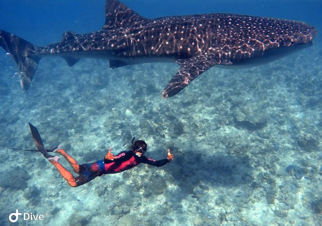 Maldives | Dhangethi