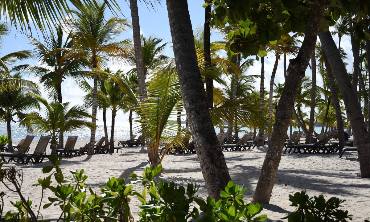 Playa Bibijagua Apartment | Punta Cana Beach Luxury apartment 2 bedroom 4 minute walk to beach