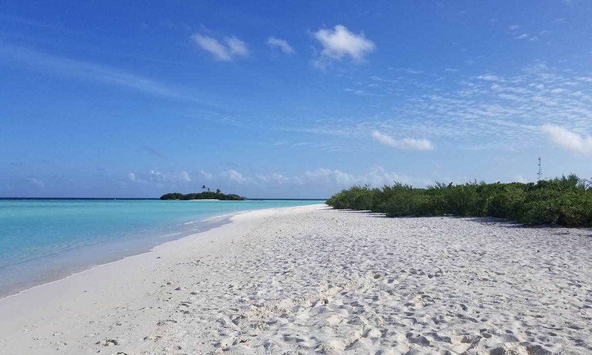 Rasdhoo Lilac Stay | Rasdhoo