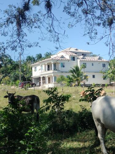 Gaspar Hernandez Villa | Villa Magante