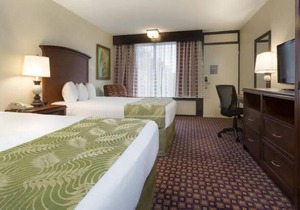 Wonderful Stay! 3 Amazing Units, Close to Kings Orlando, Free Shuttle
