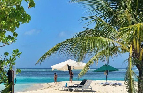 Dhiffushi Hotel | 16 m² Hotel ∙ 3 guests