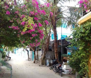 Guraidhoo Hotel | 21 m² Hotel ∙ 3 guests