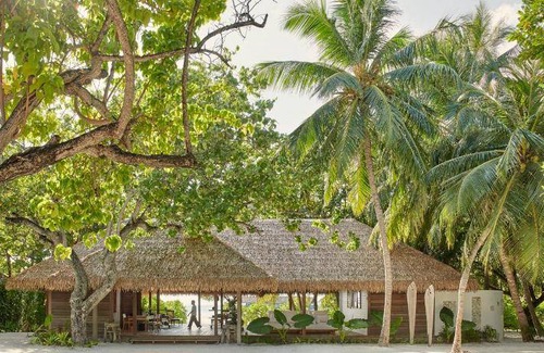 Cocoa Island Resort | 590 m² Resort ∙ 3 bedrooms ∙ 127 guests