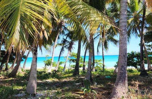 Paraiso Apartment | 2 Bdrm 1 Bath Near River and Beach, 3L