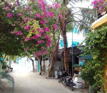 Guraidhoo Hotel | 21 m² Hotel ∙ 3 guests