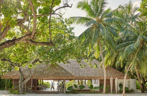 Cocoa Island Resort | 590 m² Resort ∙ 3 bedrooms ∙ 127 guests