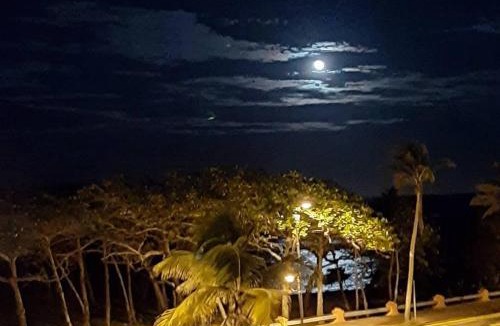 Los Brazos Apartment | AZUL PUERTO Del MALECON