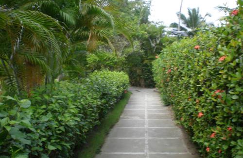 Cabarete Apartment | Beachfront apartment near Cabarete