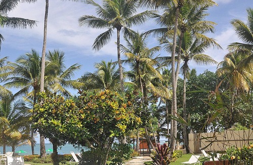 Cabarete Apartment | Cabarete beach studio near shops, with pool/air conditioning/balcony/Wi-Fi