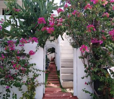 Dominicus House | Caraibidamari