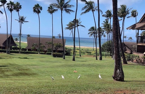 Maunaloa Condo | Efficiency