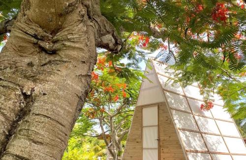 Punta Cana Other | Ekhotel & Glamping en Punta Cana