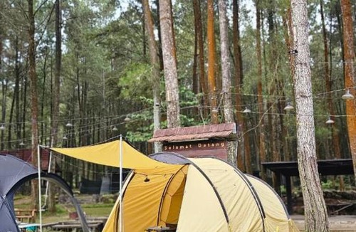 Kajarharjo Other | Kalisawah - Nyaman Camp