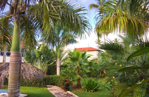 Las Galeras Hotel | Las Galeras Hotel