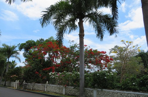 Cofresi Villa | Luxury 5-Bedroom Villa with Private Pool, Maid, Optional Chef, VIP Services