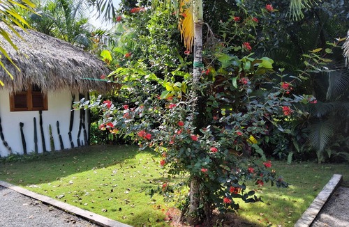 Las Terrenas House | Nomadas 5 bdrs villa with p/pool 2nd line to beach
