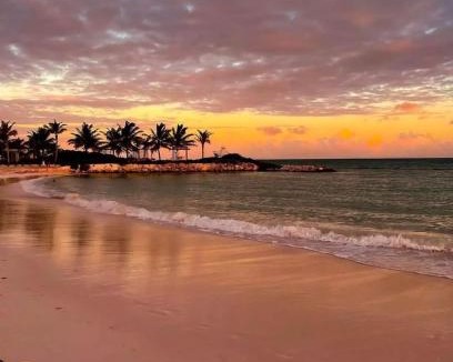 Punta Cana Apartment | Ocean View Vermare Cap Cana