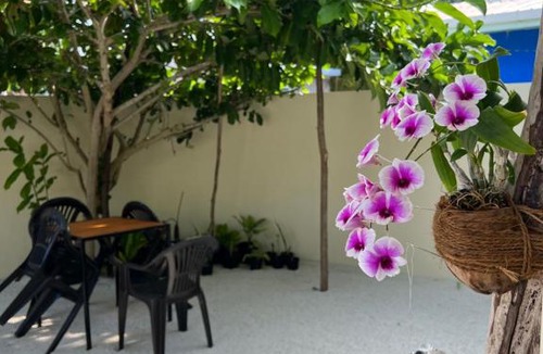 Omadhoo House | Omadhoo Coral View Inn