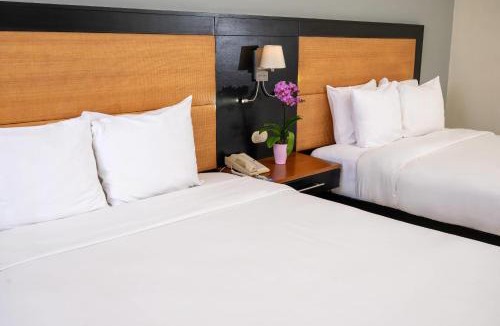Ensanche Naco Hotel | Radisson Hotel Santo Domingo