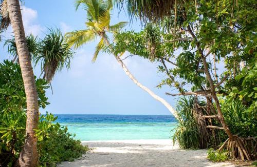 Omadhoo House | Rin'dha Retreats