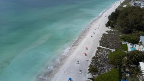 Longboat Key Apartment | Sandy Toes and Sunny Nose Open Tuesday!