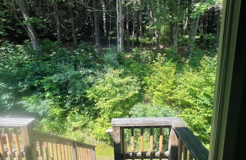 West Hartford Condo | The Quechee Acorn! Cozy 2-bedroom condo near amazing amenities!