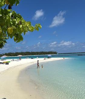 Dhiffushi Hotel | VelaaVani - Turtle Hive Dhiffushi