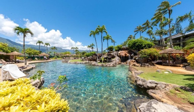 3 Units | Full Kitchen | Outdoor Pool | #1 Best Value Resort in Kauai!