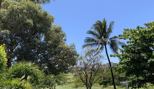 3BR for the Price of 2. Golf Course View & Golf Cart too!