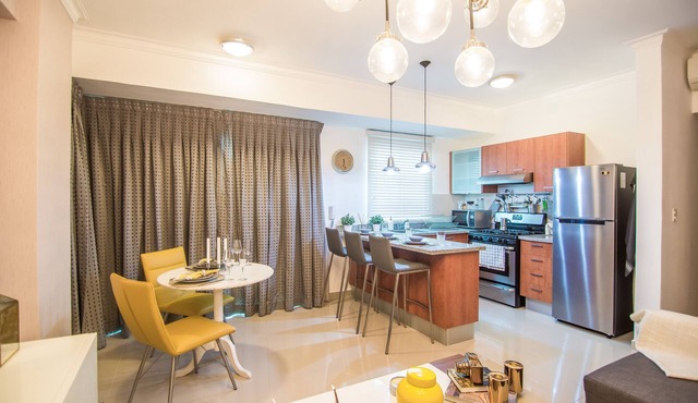 Brand New Santo Domingo Chic City Center Apartment + Free Parking and Gym ✔️