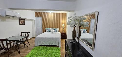 Canapalma Zona Colonial