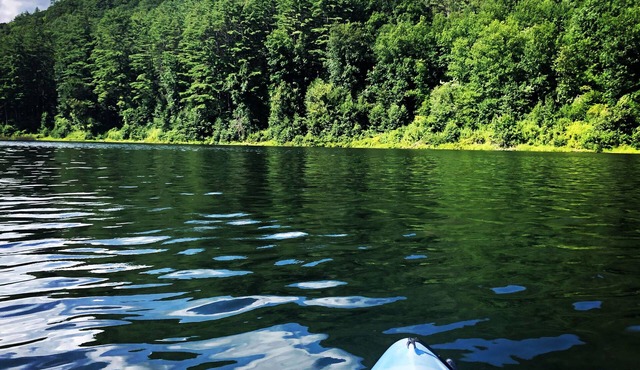 Charming Cabin on Lake Amherst - Private Dock, Fireplace, Firepit, Pet-Friendly