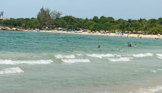 Coconut beach