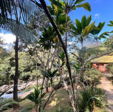 Diferencia eco retreat