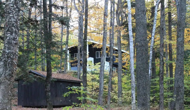 Downhill Haus, 7 beds, between Okemo & Killington