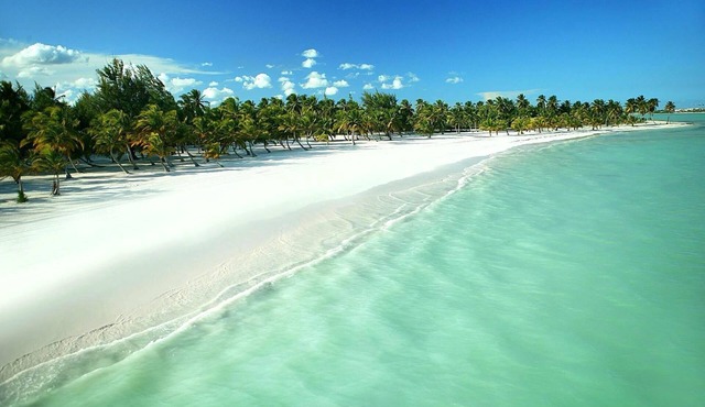 Green Wood | Elegant Cap Cana Stay