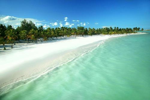 Green Wood | Elegant Cap Cana Stay