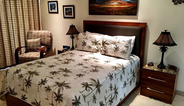 Kona Isl Inn, AC,Wifi,Beachfront town of Kailua Kona, walk to restaurants, shops