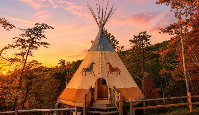 Luxury King Yurt w/Parkside Resort Access Sleeps 4