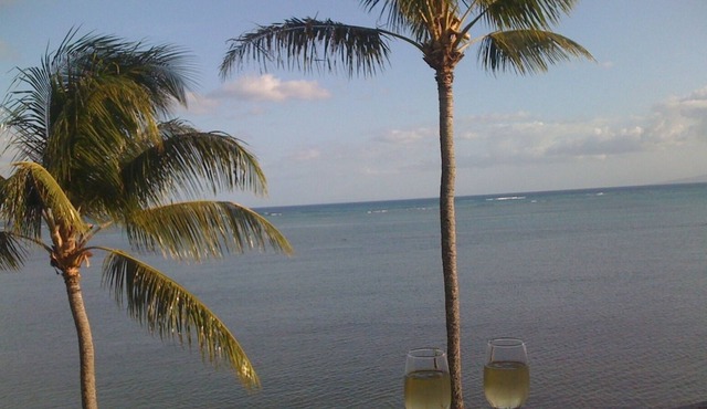 Luxury With a View!!! Designer Furnished (Wavecrest Resort)