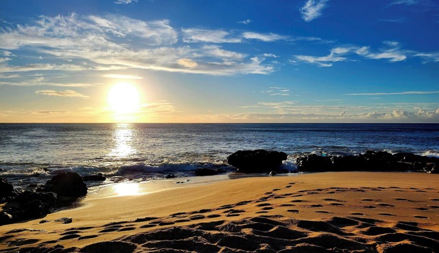 Ocean view fully equipped condo. Car additonal price. April 2027 open.